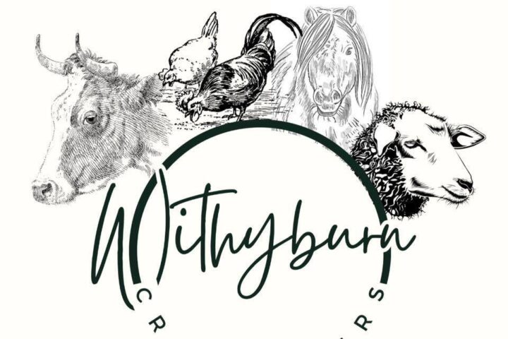 Withyburn croft tours Shetland logo