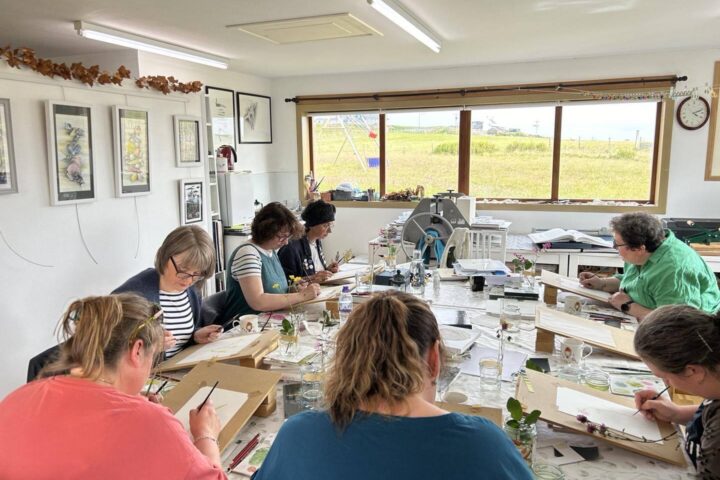 Aister Studio Diane Garrick Shetland Stays 8