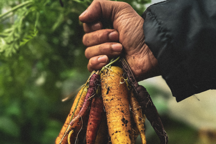 Shetland Stays Shetland Chef 1 2