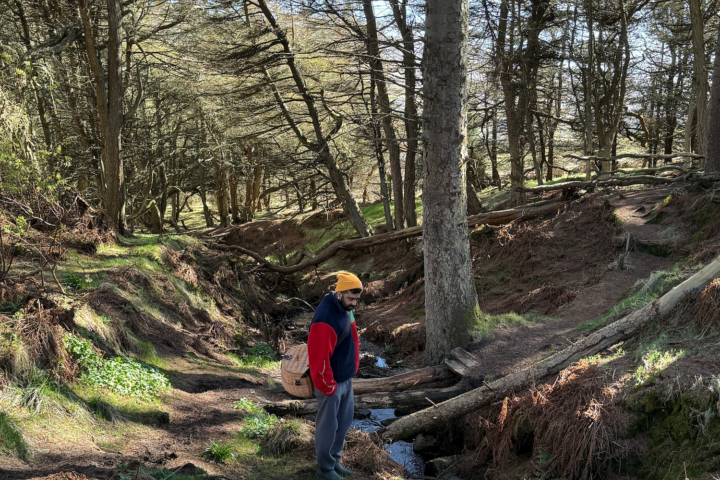 Shetland Stays Shetland Chef 1 3