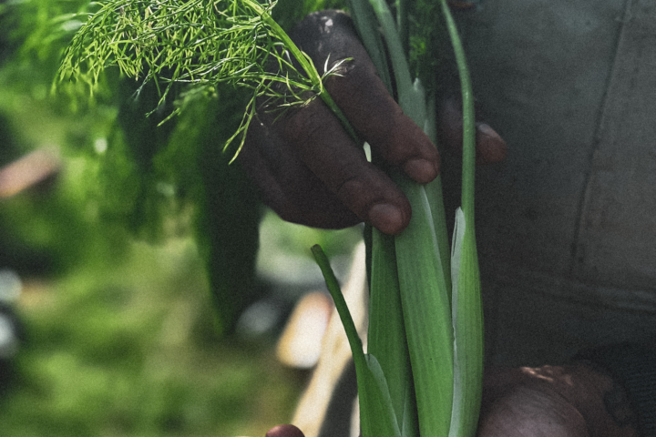 Shetland Stays Shetland Chef 1 4
