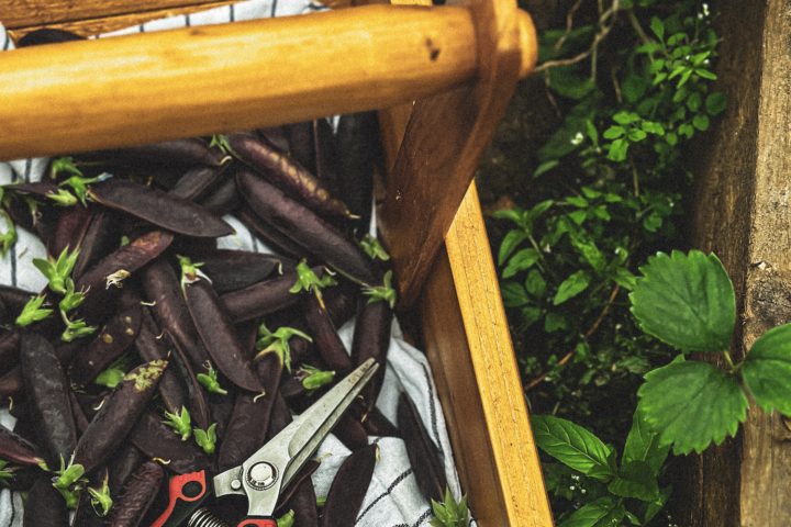 Shetland Stays Shetland Chef 6